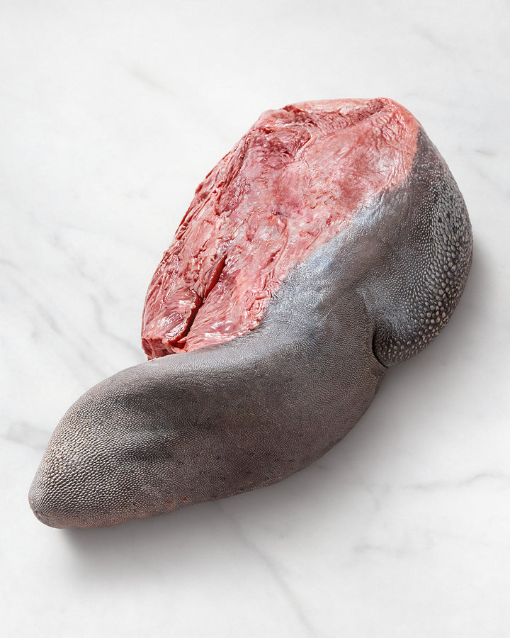 Wagyu-Zunge auf weißem Hintergrund, Wagyu-Delikatesse mit starker Marmorierung, Premium-Fleisch, Rinderlappen, Delikates-Zungenstück